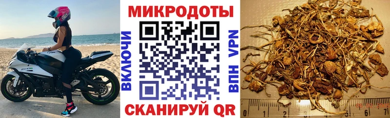 Галлюциногенные грибы Psilocybine cubensis  Нижнеудинск 
